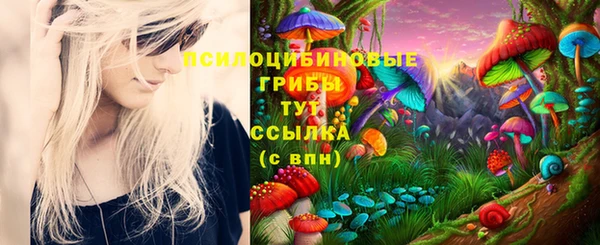 МДМА Алексин